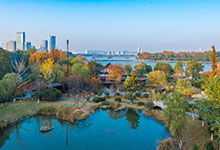 南京未来15天天气预报（南京未来30天天气预报）