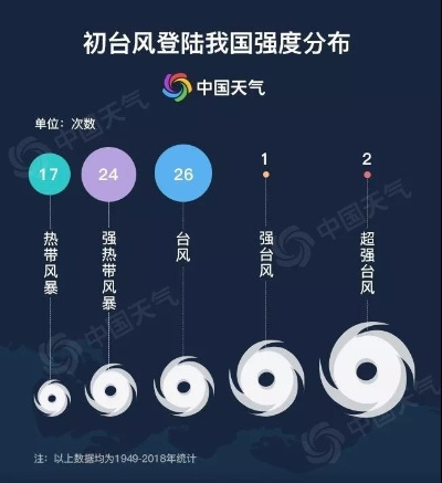 浙江台风网，数字防线守护山海安宁