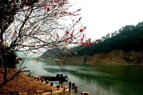 安徽旅游必去十大景点,从水墨宏村到奇绝黄山,解锁皖美山河的N种惊艳 安徽旅游必去十大景点,从水墨宏村到奇绝黄山,解锁皖美山河的N种惊艳