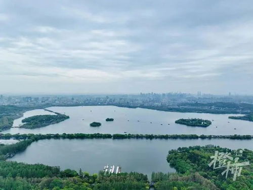 沽源县天气预报，坝上明珠的天气密码，助你出行无忧